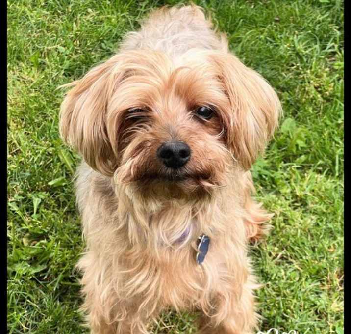 Photo of Buttons
