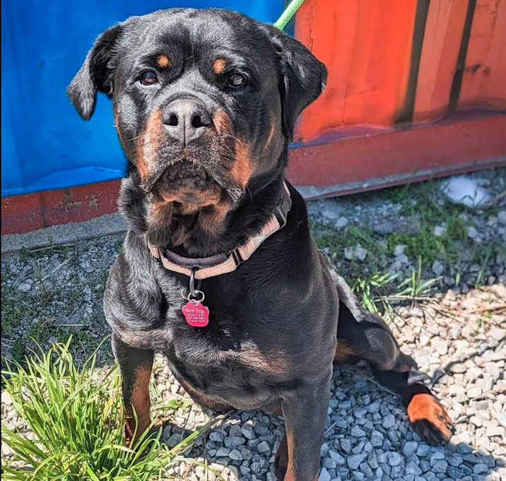 Photo of Baby-Bop