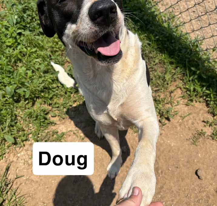 Photo of Doug