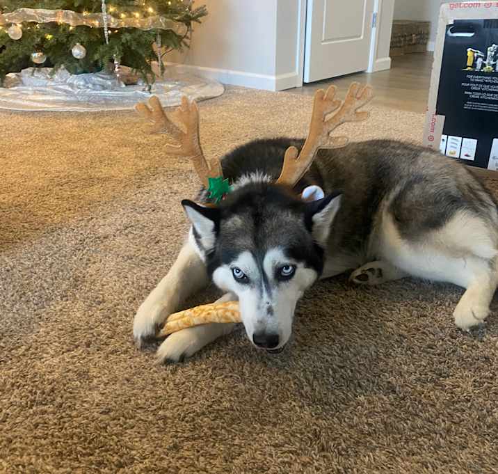 Photo of Skye