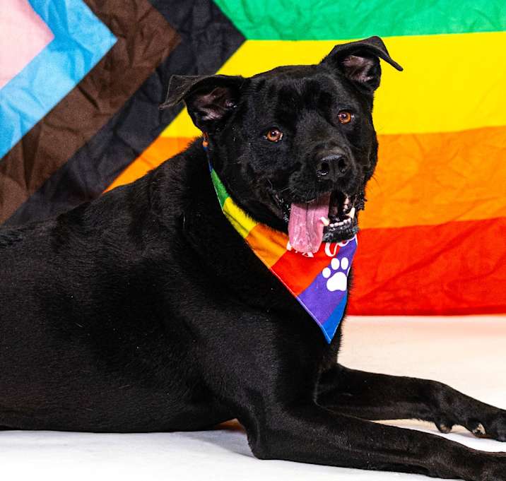 Photo of Lil-Bit