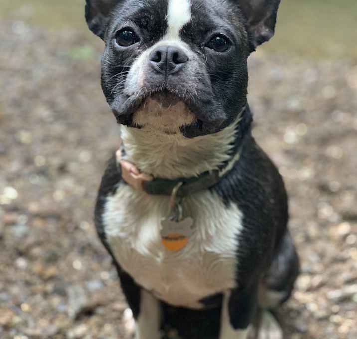 Photo of Maeble