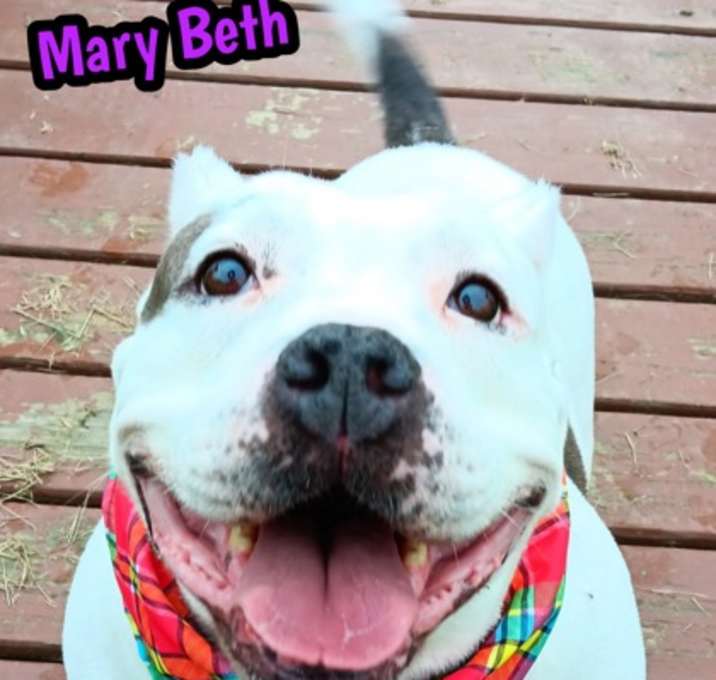 Photo of Mary Beth