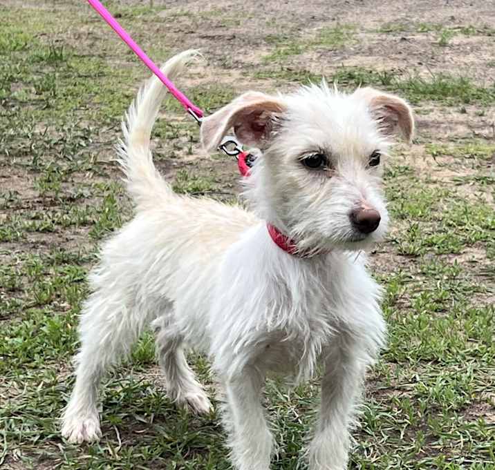 Photo of Little Miss