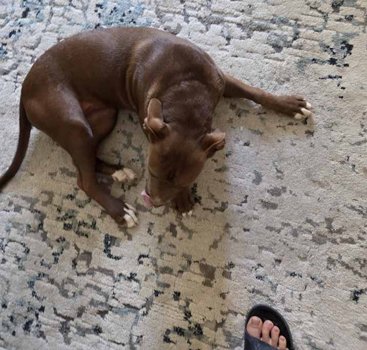 Photo of Mocha