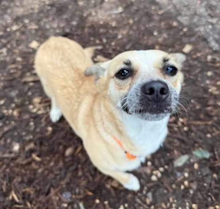Photo of Moxie