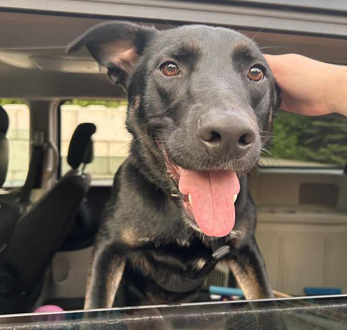 Photo of Onyx