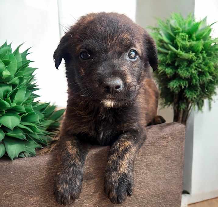 Photo of Luther