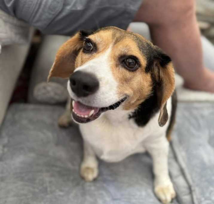 Photo of Daisy Mae