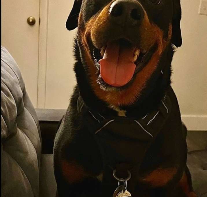 Photo of Ripley
