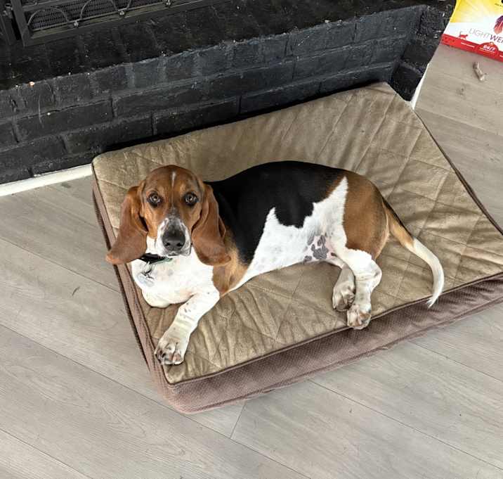 Photo of Phoebe