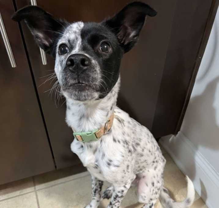 Photo of Lacie
