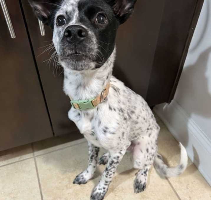 Photo of Lacie
