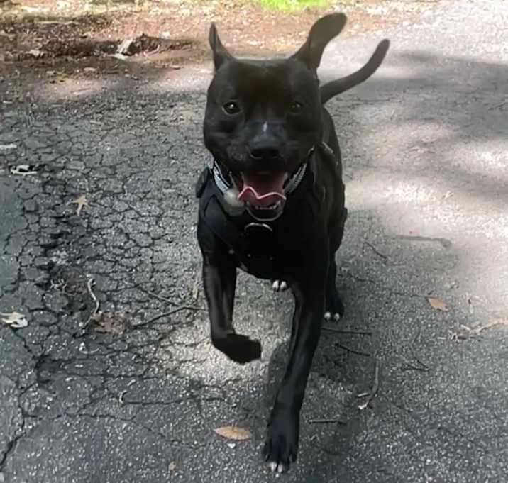 Photo of Maverick