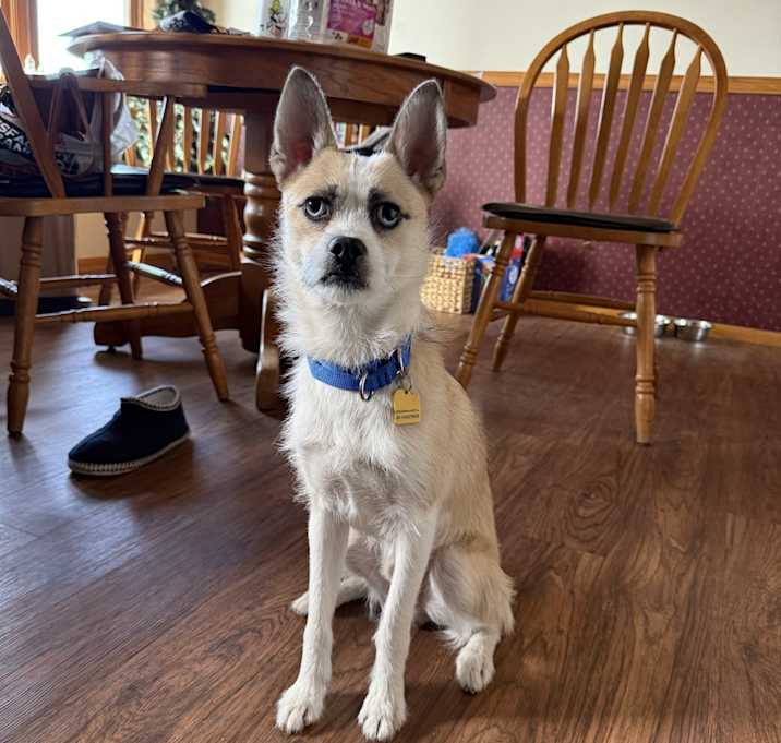 Photo of Charlie