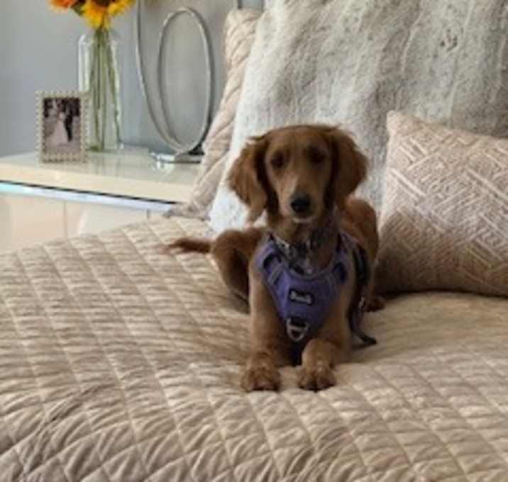 Photo of Darcy West