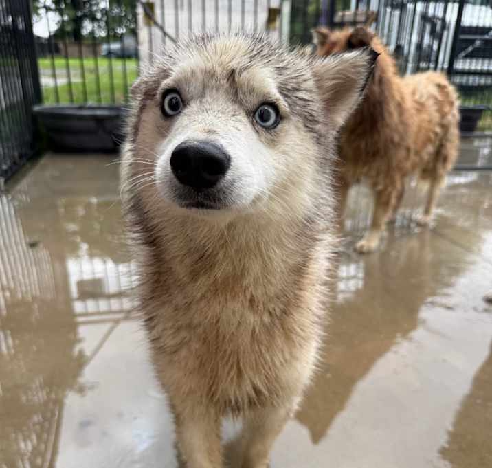 Photo of Noah 