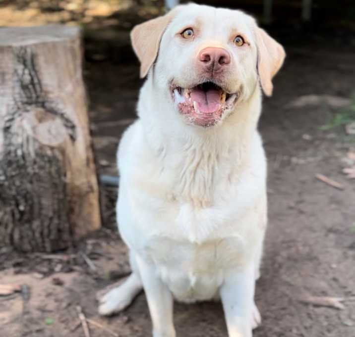 Photo of Bella
