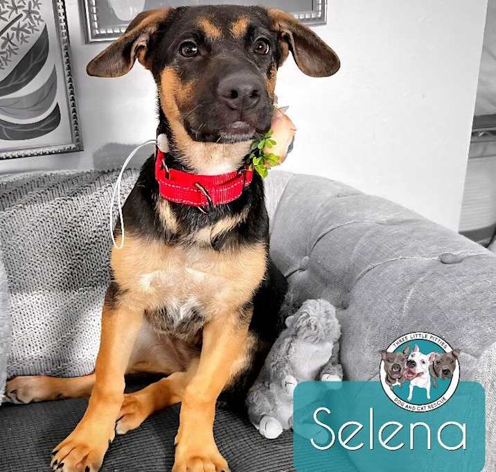Photo of Selena Cutie Pie
