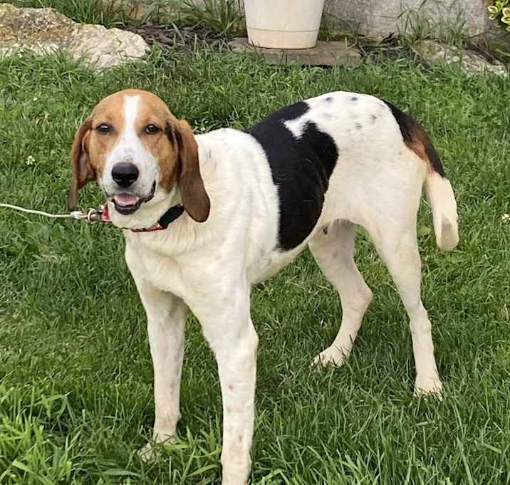 Photo of Winnie