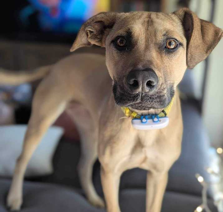 Photo of Daisy