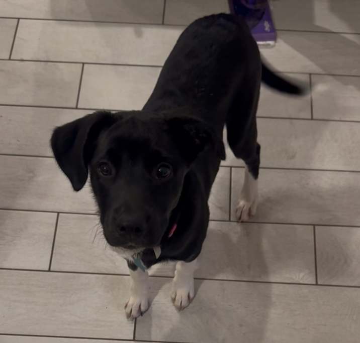 Photo of Bailee