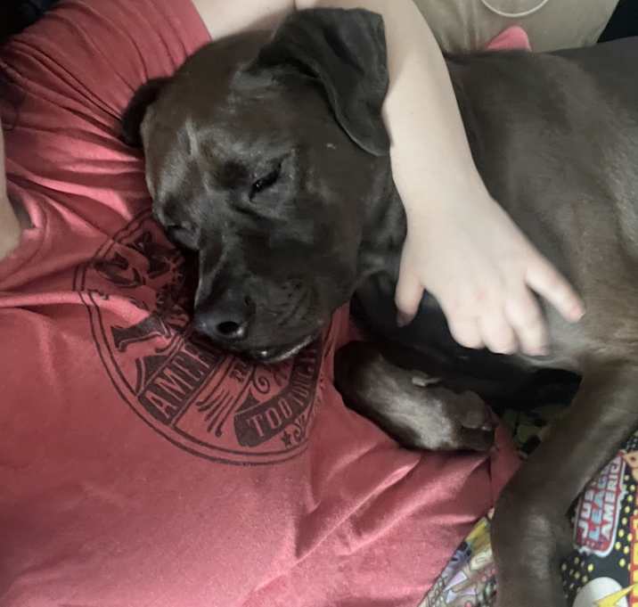Photo of Onyx