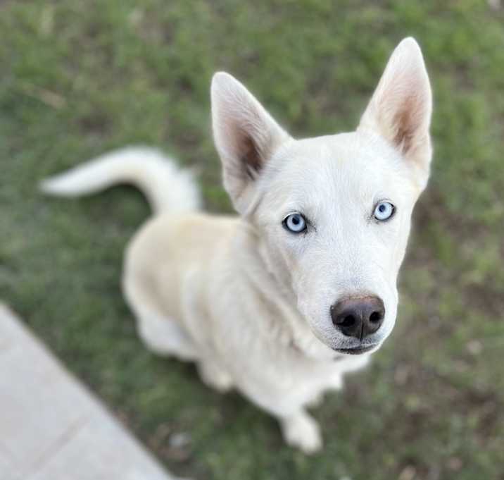 Photo of Storm