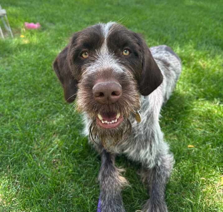Photo of Rookie B. Ruth