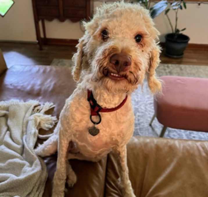 Photo of Mia