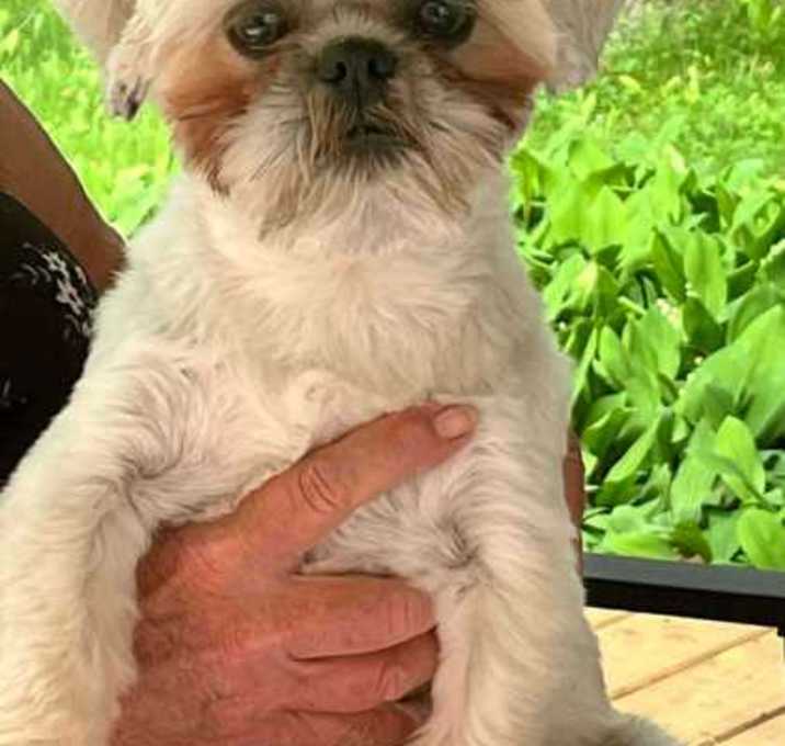 Photo of Max