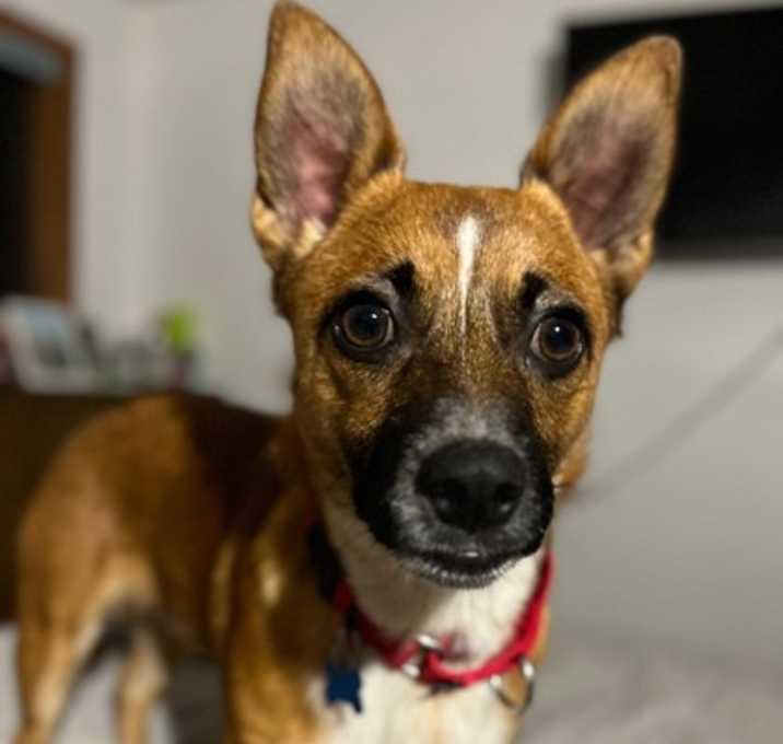 Photo of Papi