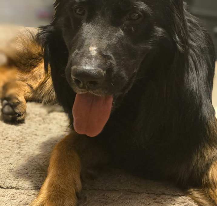 Photo of Walter