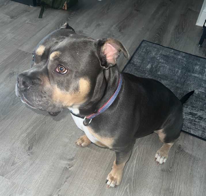 Photo of Chunk