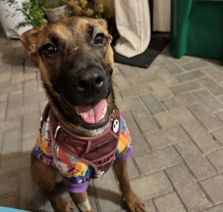 Photo of Gigi
