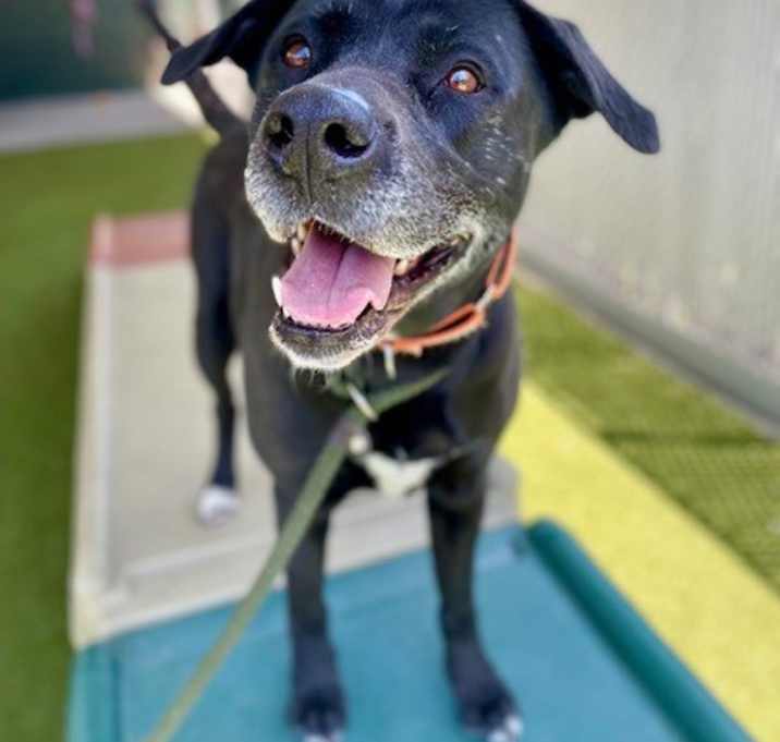 Photo of *Ramona*