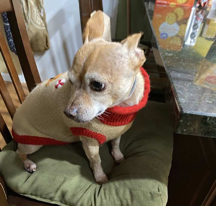 Photo of Finneas