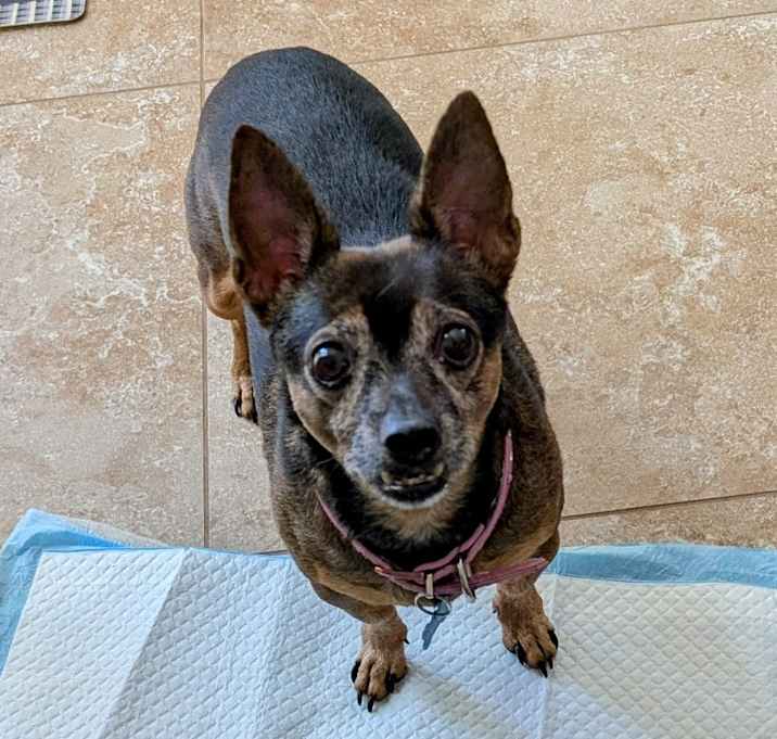 Photo of Daisy Lou