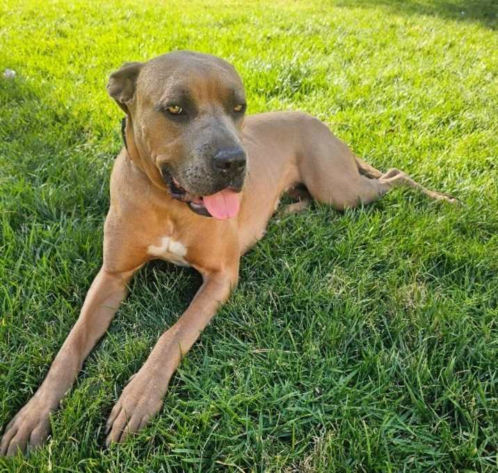 Photo of Skye