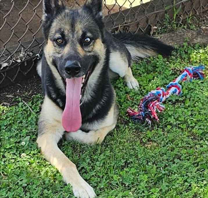 Photo of KIBA