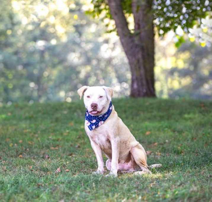 Photo of Otto
