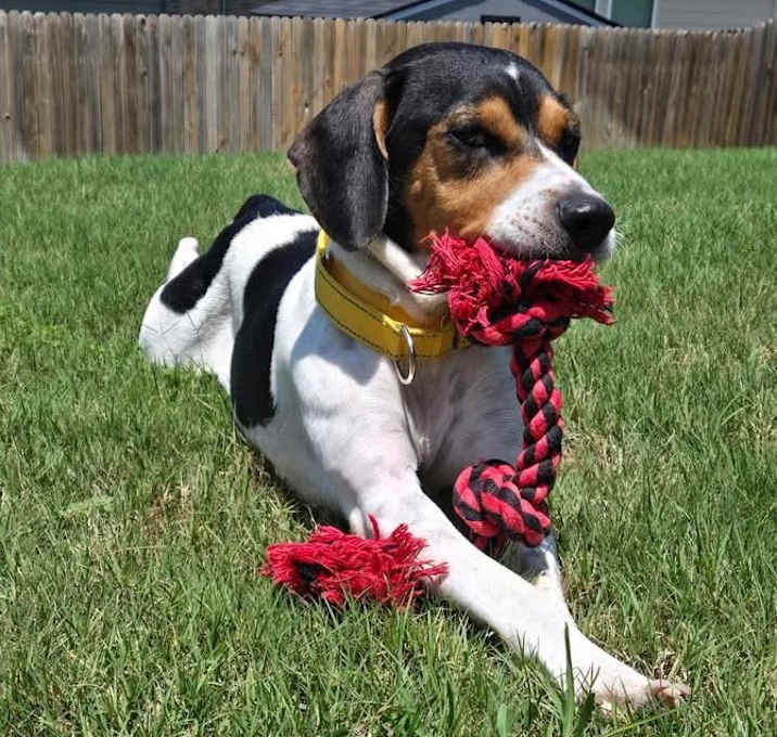 Photo of Bentley