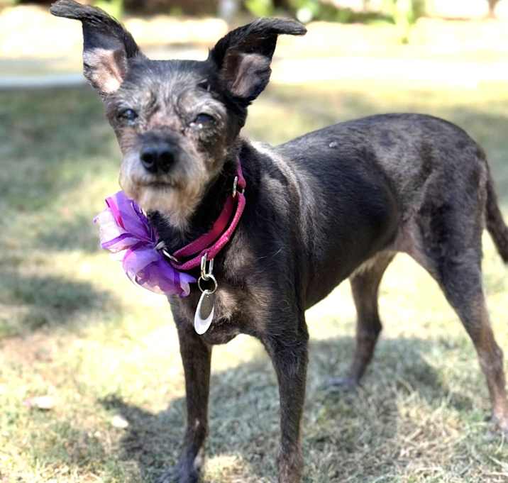 Photo of Lola Loomis