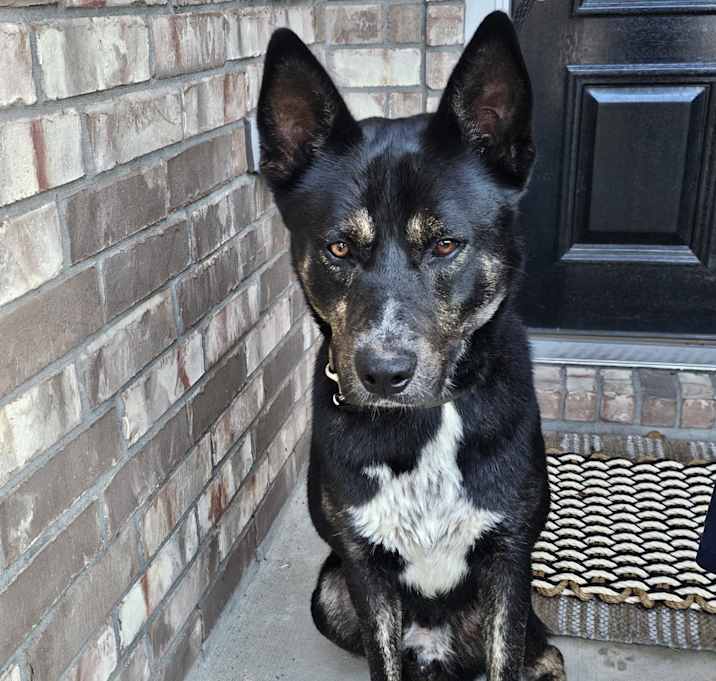Photo of Duke