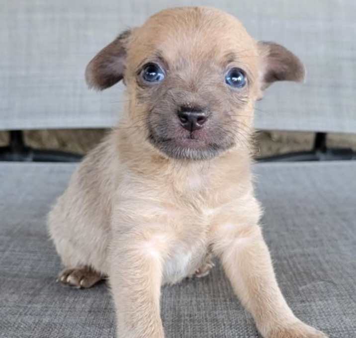 Photo of Tatum