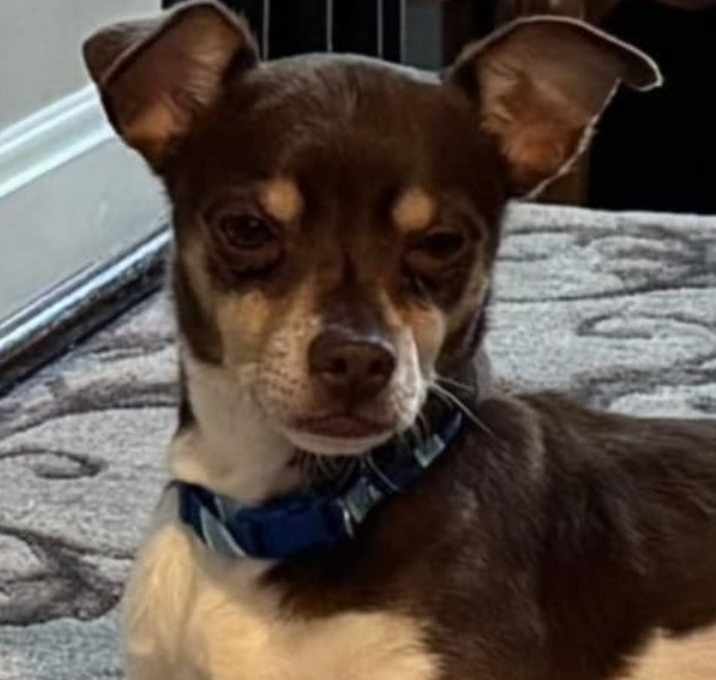 Photo of Barkley