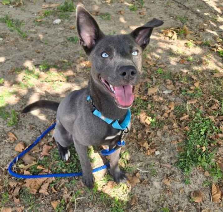 Photo of MISTY