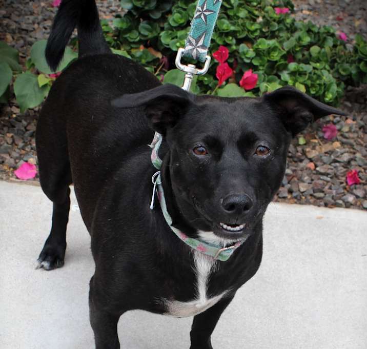 Photo of Kali