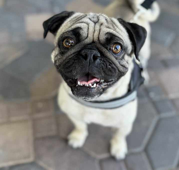 Leroy Brown Photo #1