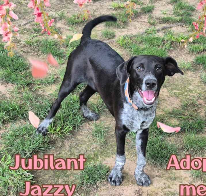 Photo of Jazzy